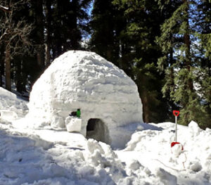 manali igloo stay